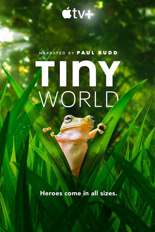 小小世界 第二季 Tiny World Season 2 (2021)
