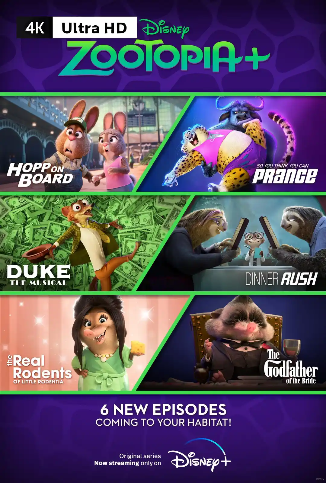 疯狂动物城+ Zootopia+